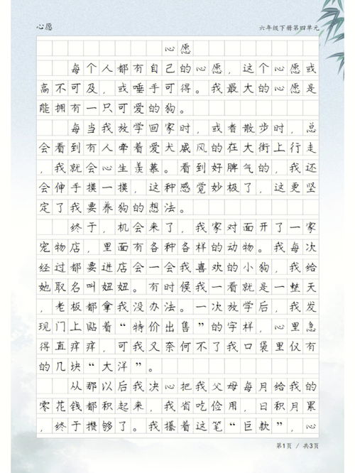 心愿500字作文7篇