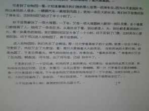 出游的作文