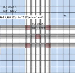 血细胞计数板计算公式高中生物，血细胞计数板计算公式中10的4次幂代表什么