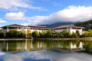 云南大学就业率高的专业