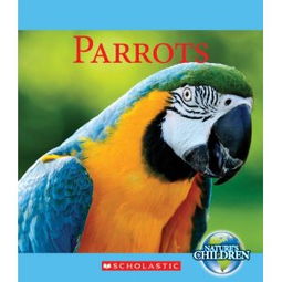 parrots怎么读英语单词，parrot手风琴哪国的