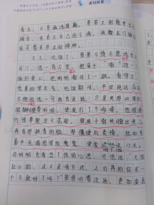 那一道亮丽的风景线作文七百字，美丽风景作文七百字