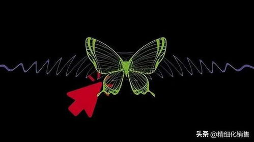 碟的拼音和意思