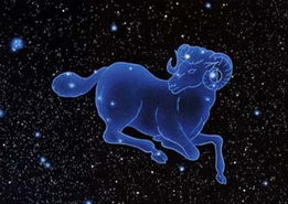 十一月初十是什么星座的，三月三十一是什么星座的