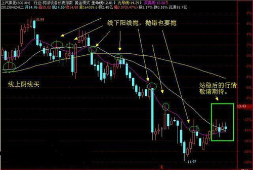 辈组词组，长辈的辈组词
