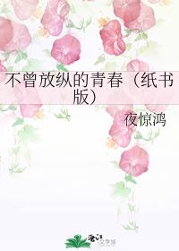 《不曾放纵的青春》txt下载在线阅读全文,求百度网盘云资源
