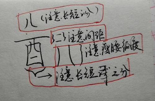 白字是独体字结构吗