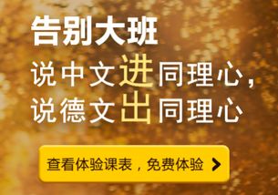 同理心课后感言，同理心的语言表达
