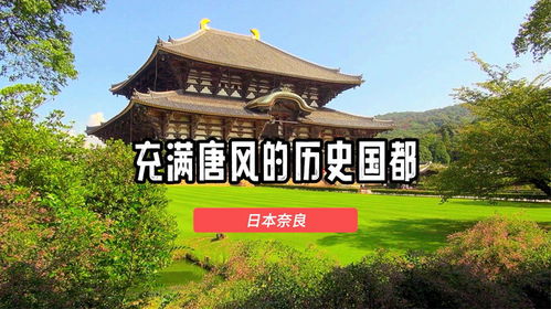 奈良在哪里看鹿，奈良什么地方