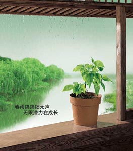 春雨绵绵是什么生肖，春雨绵绵人独去