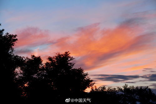 朝霞的拼音意思?
