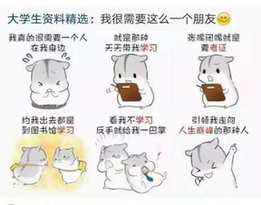 考研复试没通过怎么办