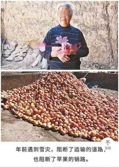 滞销是什么意思