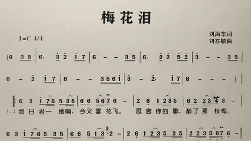 梅花泪歌词原唱，梅花泪歌词曲原唱