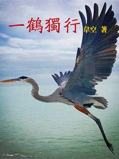 晴空一鹤什么云上便引诗情到碧霄