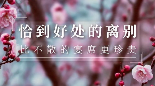 依依不舍什么意思