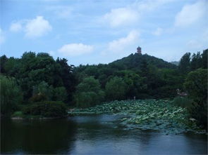 游无锡龙背山写作文