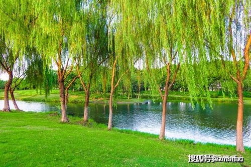 送韩十四江东觐省阅读答案，送韩十四江东觐省情感丰富