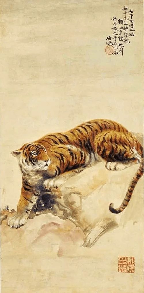 老虎的图片大全