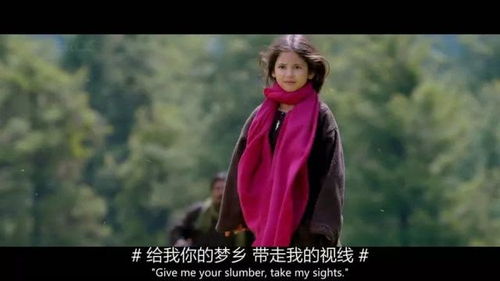 卡比尔人，卡比尔·汗与阿米尔 汗