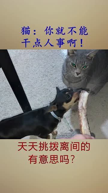 挑拨离间的意思间的意思，挑拨离间的意思解释是什么