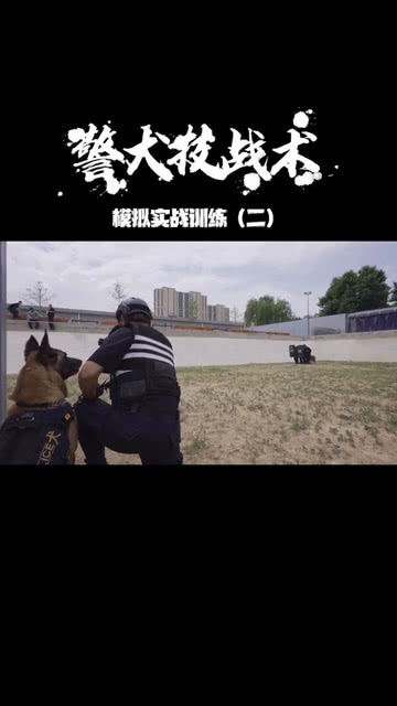 你们被包围了韩剧免费观看全集，你们被包围了男主是谁的儿子