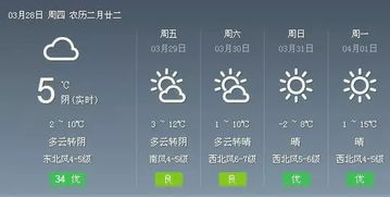 山东未来十天天气预报
