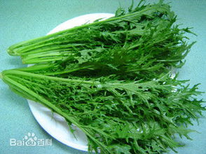 雪里红是什么菜的叶子，雪里红是什么菜什么时候种