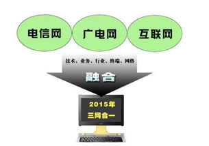 三网融合的三网指的是，三网融合指的是