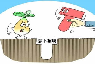 萝卜招聘违法吗，萝卜招聘是对量身定制