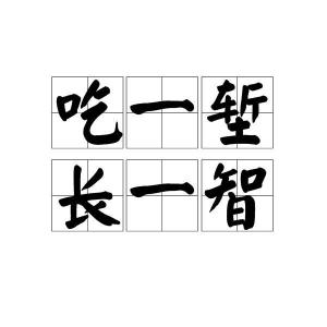 吃一智长一堑的意思应该怎么读?