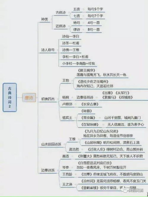 脉络的拼音和意思，脉的拼音