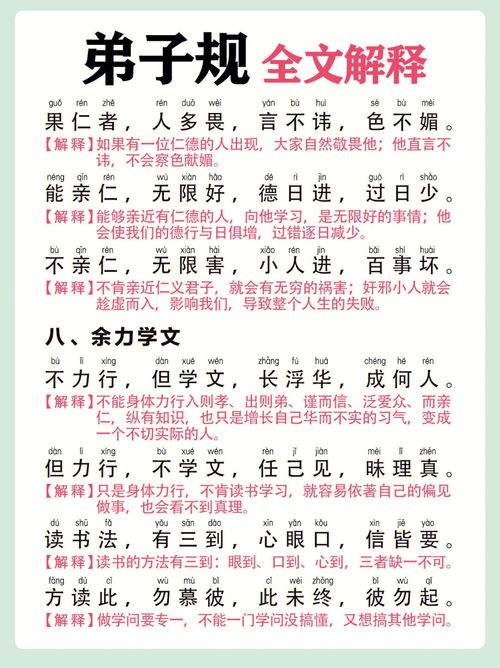 你们的拼音是什么?