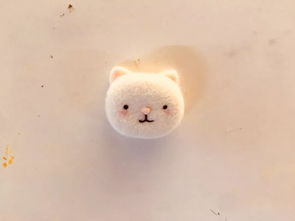 茸茸为什么叫茸茸?