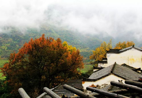 龙尾技能，龙尾的寓意与象征