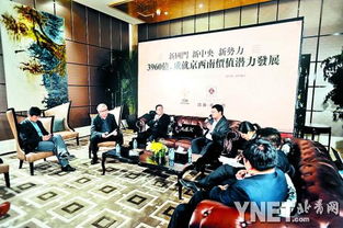 城南行动计划 建议，城南行动丰台进展