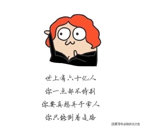 车装货发朋友圈句子