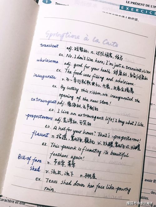 打羽毛球的优秀作文