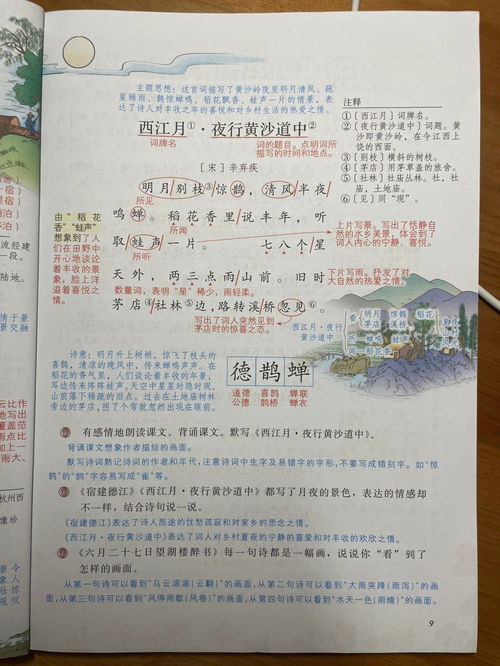 六年级上册古诗必背，六年级上册古诗三首翻译