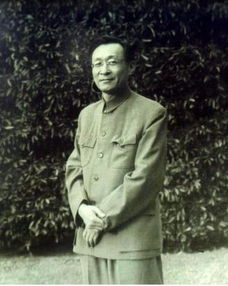 叶楚伧是蒋介石的亲信吗