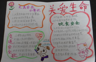 生命手抄报怎么画，纪录片生命手抄报
