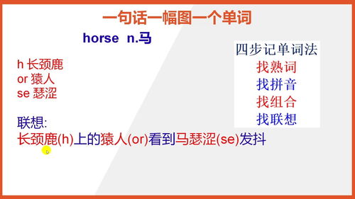 马的英语单词怎么读，兔子的英语单词