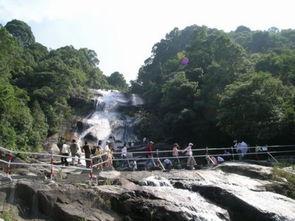 武平县旅游景点