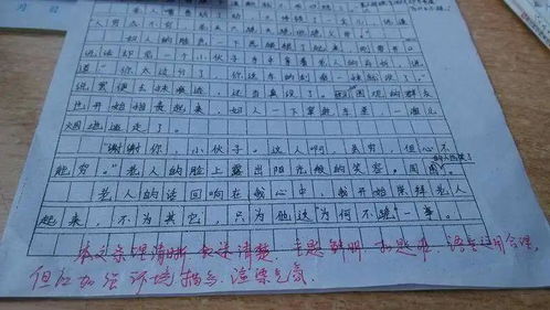 作文新闻报道300字初二开学典礼，作文新闻报道300字初二奥运会2021