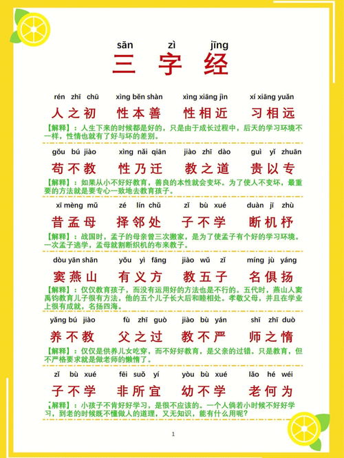 花的拼音，熊出没之伴我熊芯的拼音