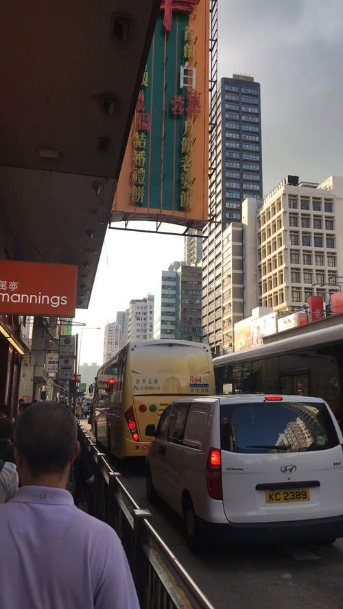 元朗属于香港哪个区
