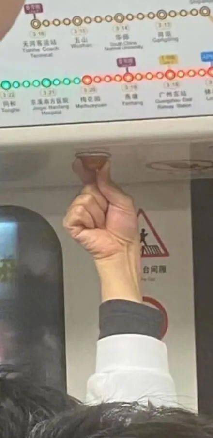 似乎的解释似乎的解释是什么