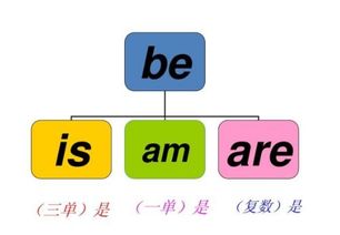 become的意思，behavior的意思