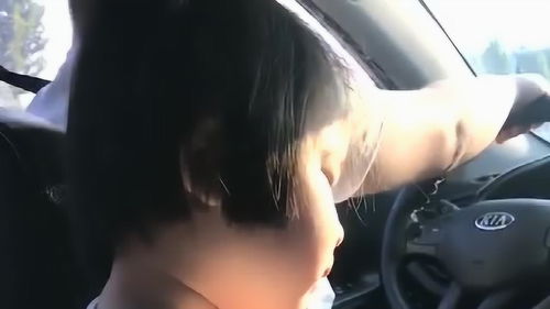 理会是什么意思