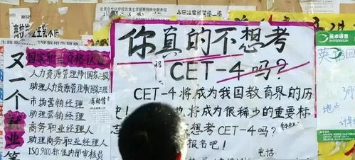 巢湖学院大一能考英语四级吗，河南财经政法大学大一能考英语四级吗